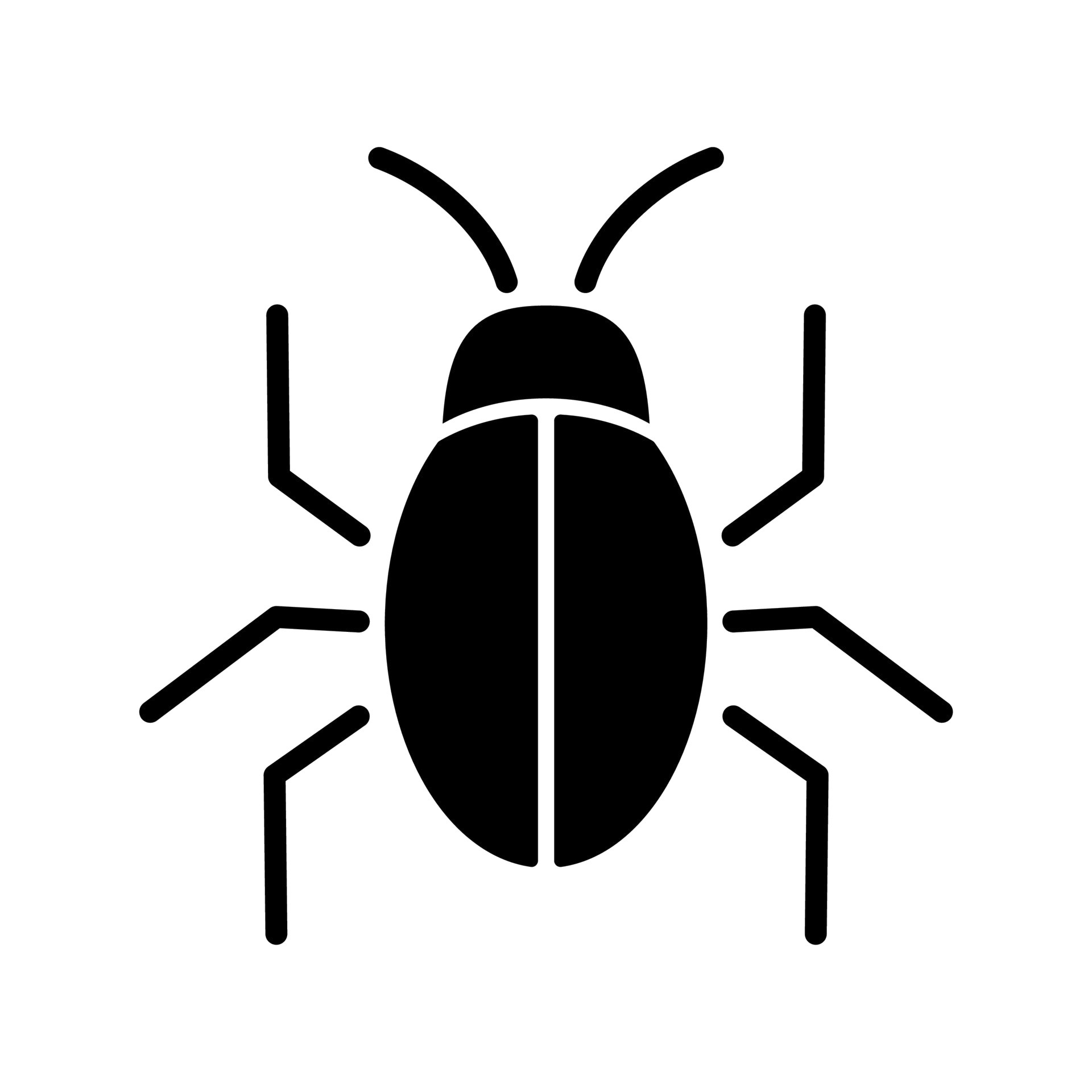 Cockroach Icon